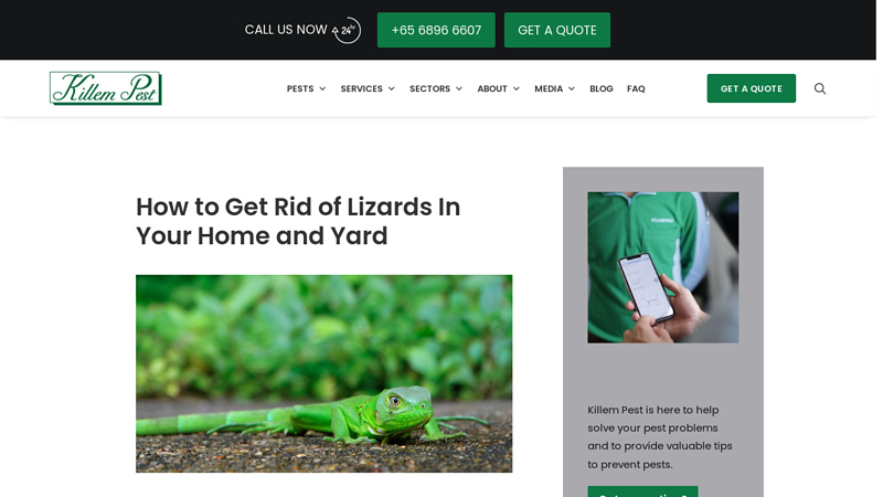 How to Get Rid of Lizards in Singapore Homes & Yards - Killem Pest