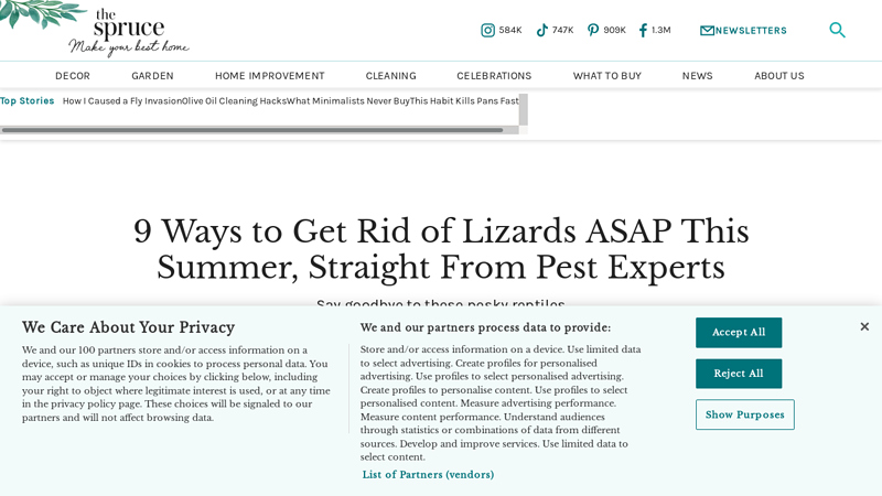 9 Ways to Get Rid of Lizards Fast, Straight From Pest Experts