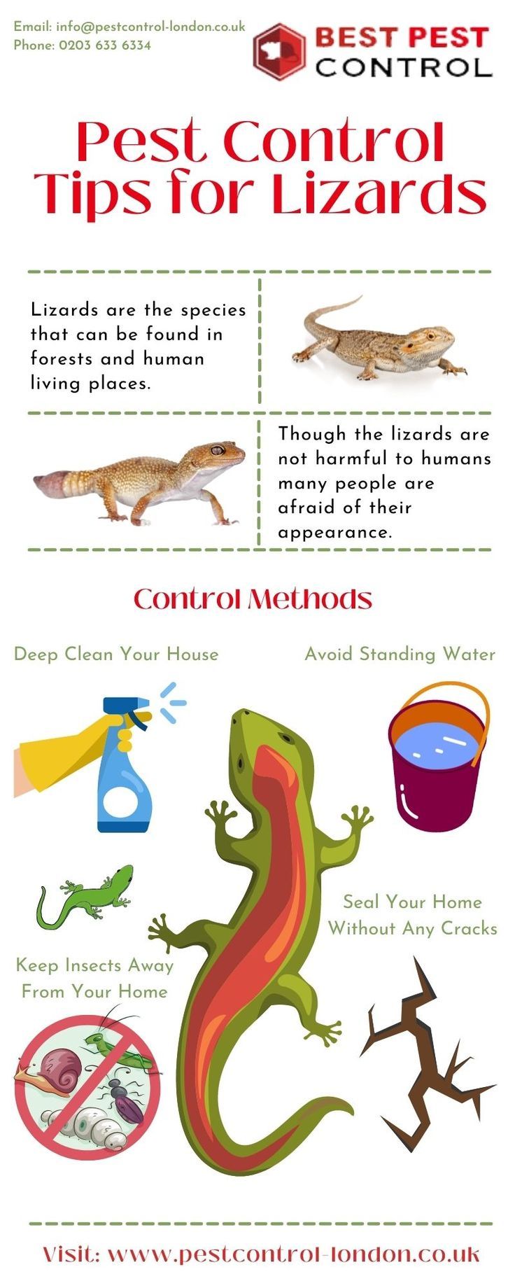 Illustrative image for get rid of lizards outside