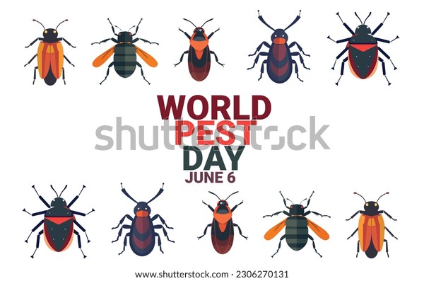 Illustrative image for get rid of may beetles