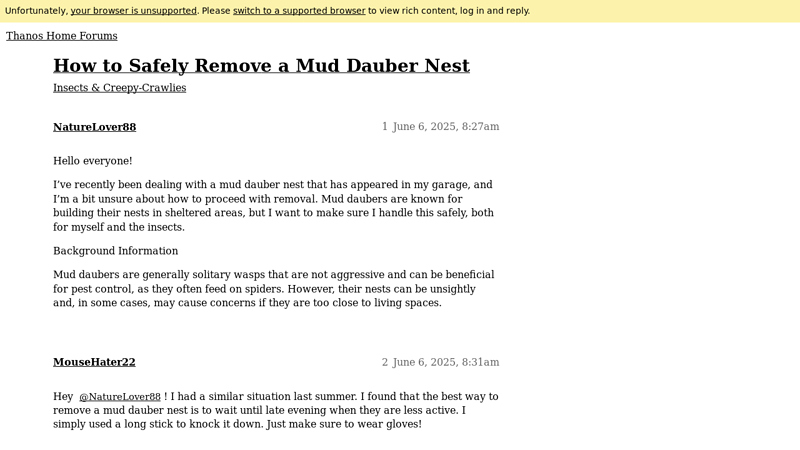 How to Safely Remove a Mud Dauber Nest - Thanos Home Forums