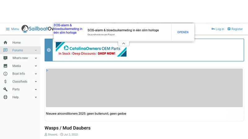 Wasps / Mud Daubers | Sailboat Owners Forums