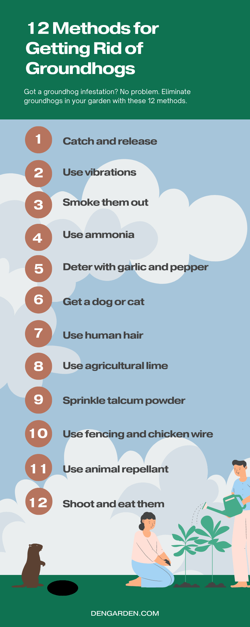 Illustrative image for get rid of woodchucks in yard