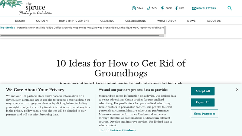 10 Ideas for How to Get Rid of Groundhogs - The Spruce
