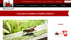 Get Lost Pest - Molasses Cricket Trap