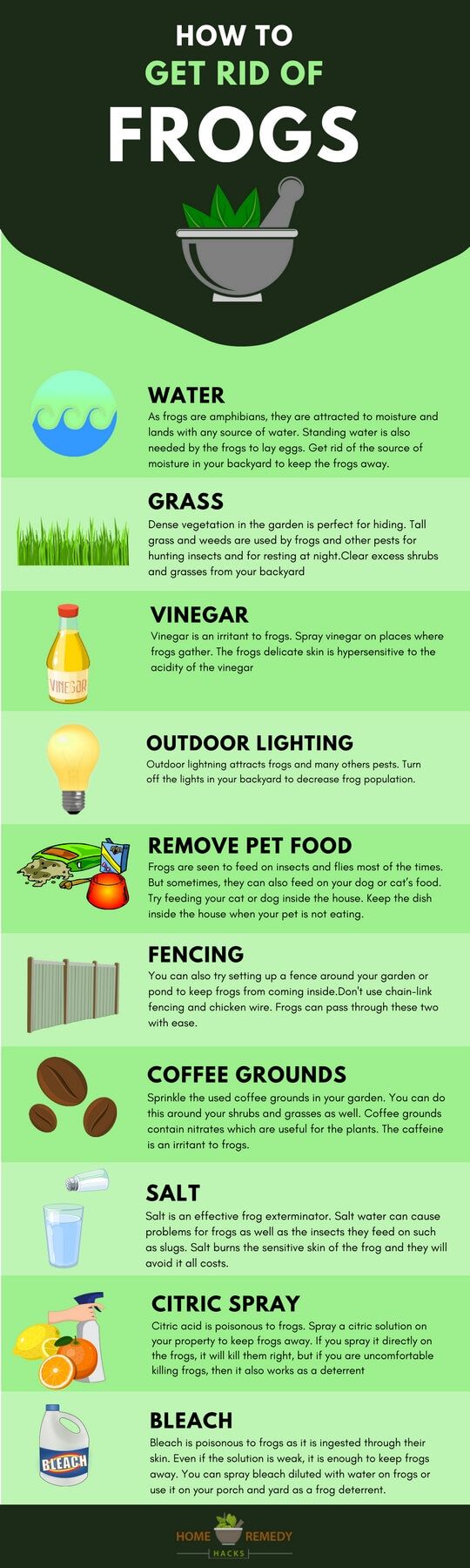 Illustrative image for gets rid of frogs around your house