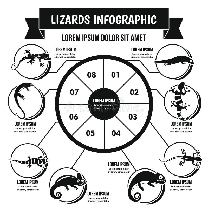 Illustrative image for gets rid of lizards