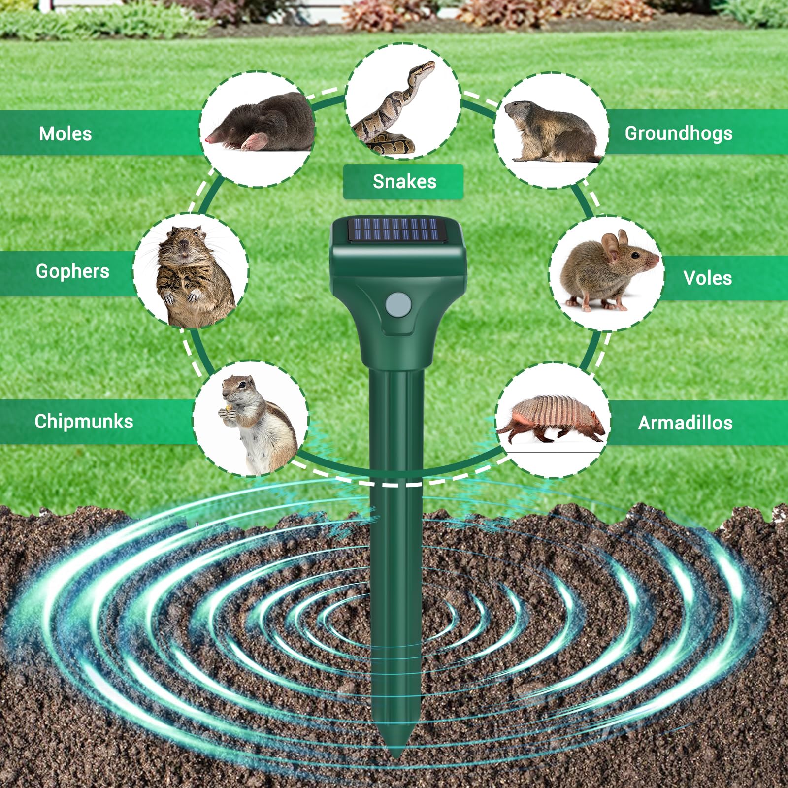 Illustrative image for gopher solar repeller