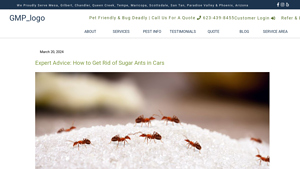 Green Magic Pest - Bi-Monthly Full Service Specials