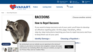 Havahart - Raccoon Repellent Solutions