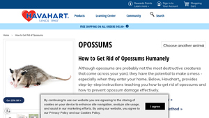 Havahart - Opossum Control Solutions