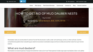 Hawx Pest Control - Mud Dauber Nest Removal