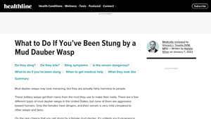 Healthline - Mud Dauber Wasps