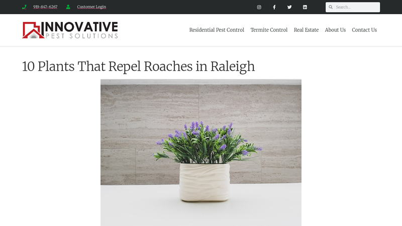 10 Plants That Repel Roaches in Raleigh - Innovative Pest Solutions