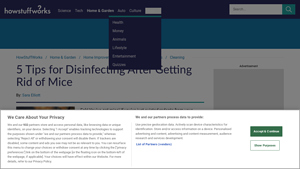 HowStuffWorks - Disinfectant Safety Kit