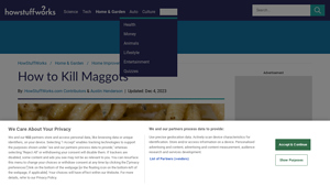 HowStuffWorks - Effective Maggot Control Solutions