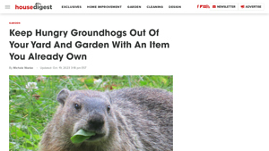 House Digest - Vinegar as a Groundhog Repellent