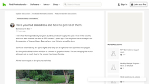 Houzz - Pest Control Solutions