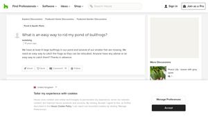 Houzz - Pond Life and Bullfrogs