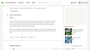 Houzz - Walkway Stones
