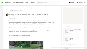 Houzz - Pest Control Solutions