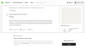 Houzz - Home Design Inspiration