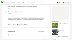 Houzz - Home Design Inspiration