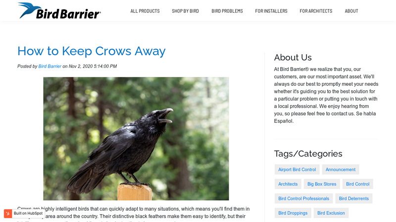 How to Keep Crows Away - Bird Barrier Blog