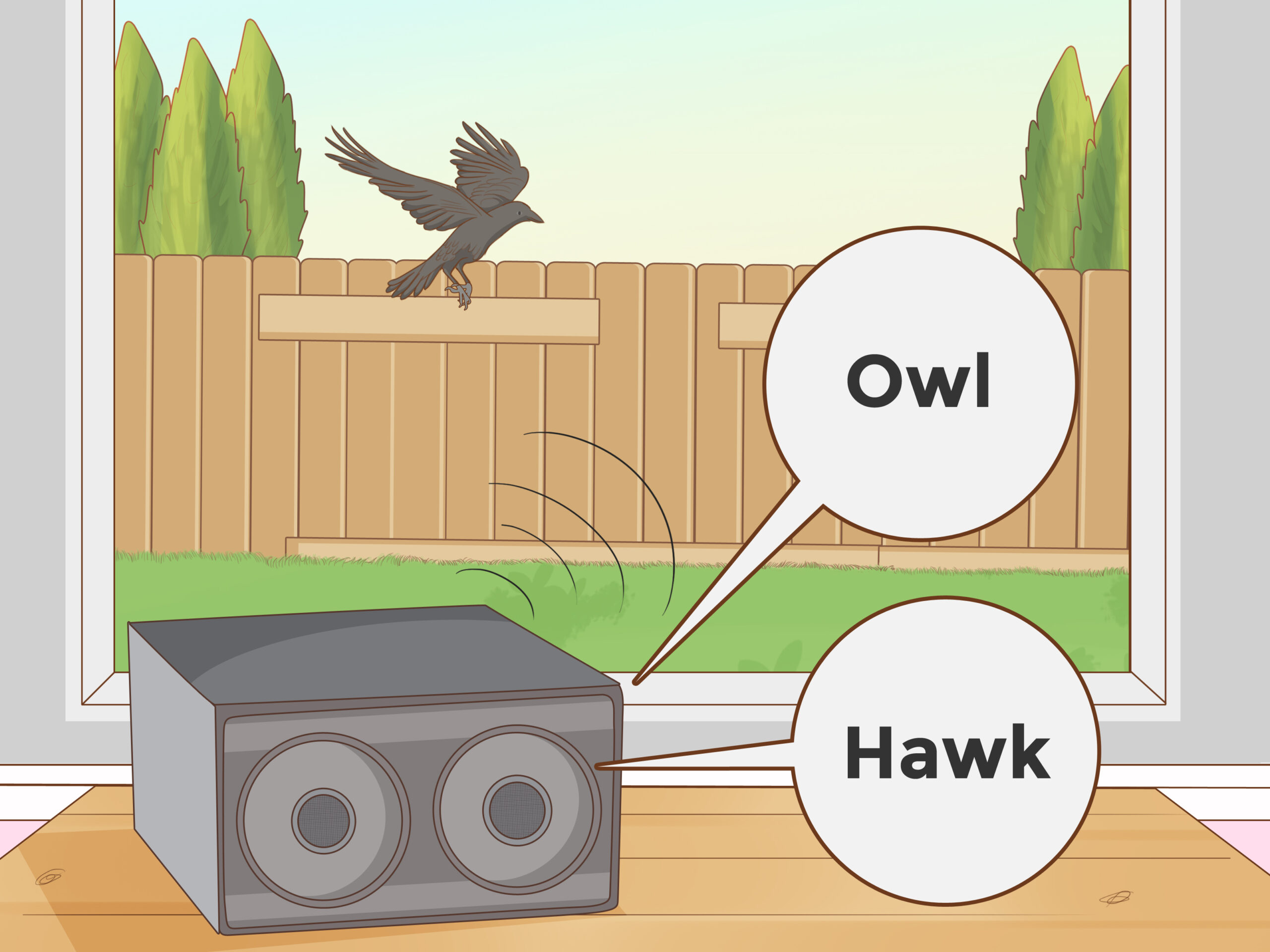 Illustrative image for how can you get rid of crows