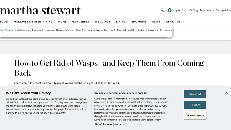 How to Get Rid of Wasps—and Keep Them From Coming Back