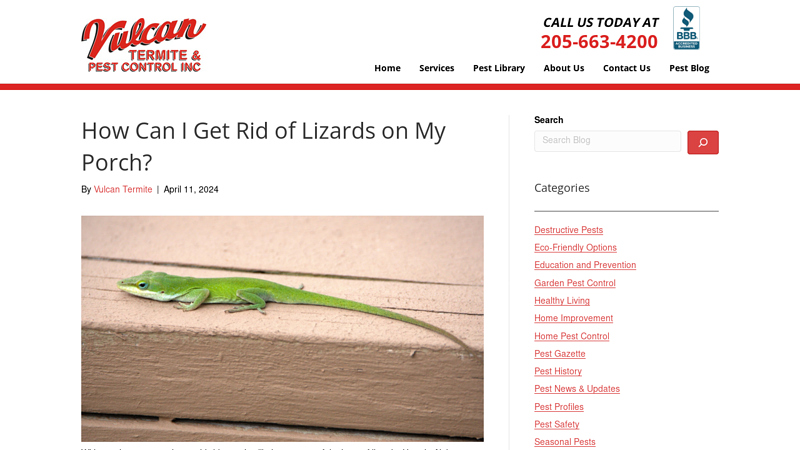 How Can I Get Rid of Lizards on My Porch, Humanely?