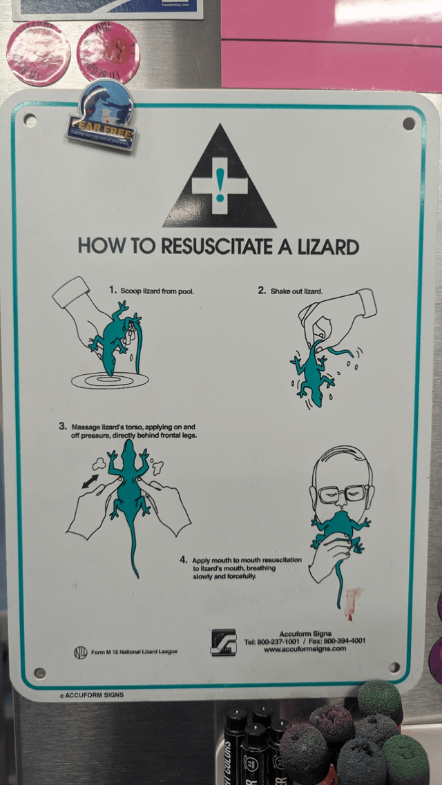 Illustrative image for how kill lizards