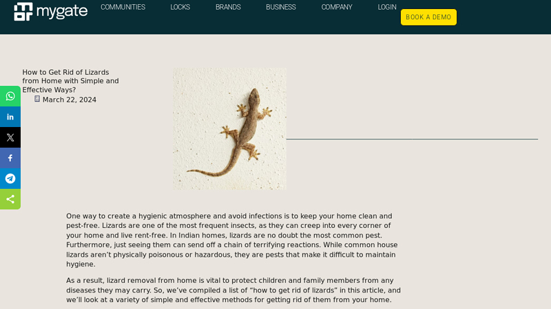 Top 8 methods to get rid of lizards at home - Mygate