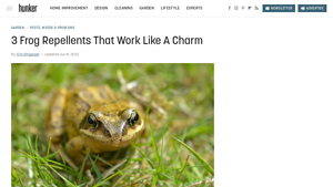 Hunker - DIY Frog Repellent Solutions