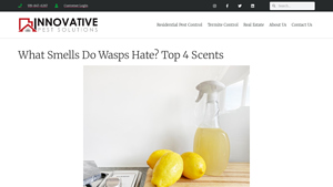 Innovative Pest - Natural Wasp Repellents