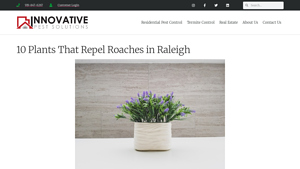 Innovative Pest - Natural Roach Repellents