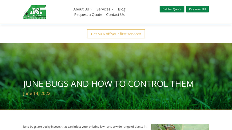 Effective Strategies to Control and Get Rid of June Bugs