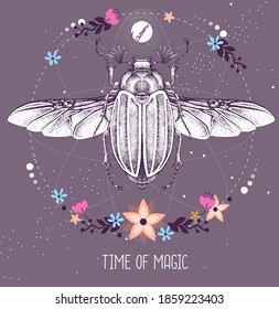 Illustrative image for june bug deterrent