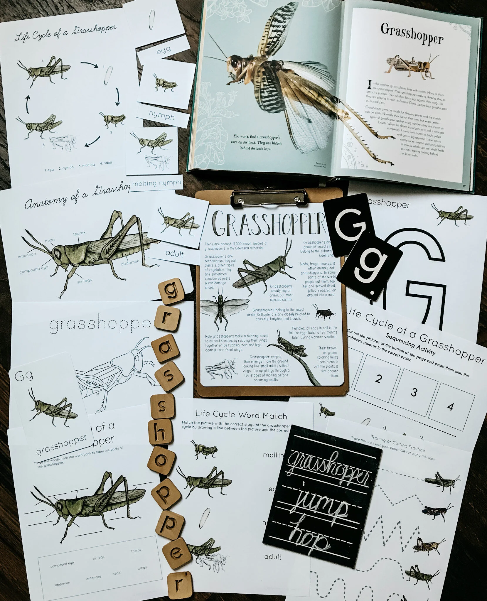 Illustrative image for june bug spray