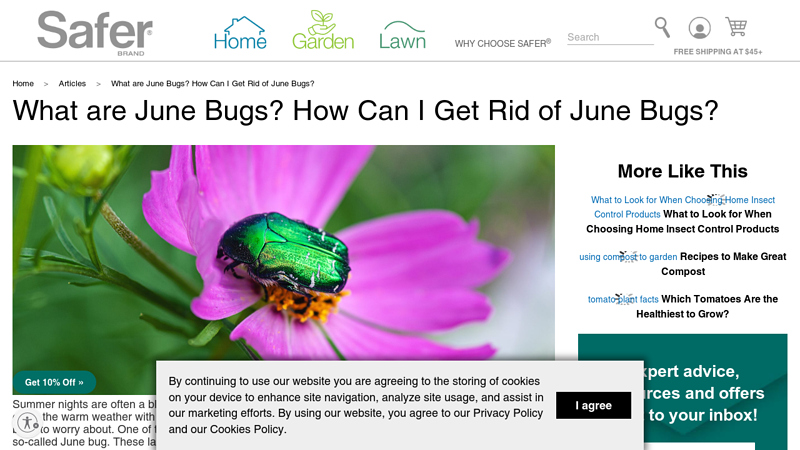 Different 'June Bugs' and How to Get Rid Of Them - Safer Brand