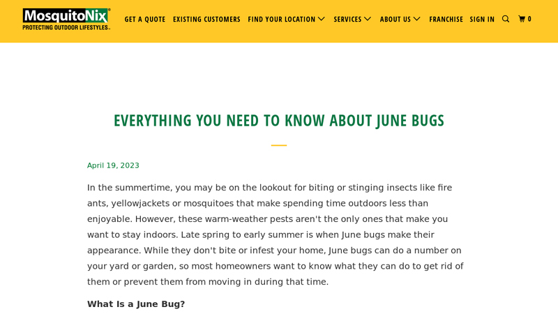 Everything You Need to Know About June Bugs - MosquitoNix