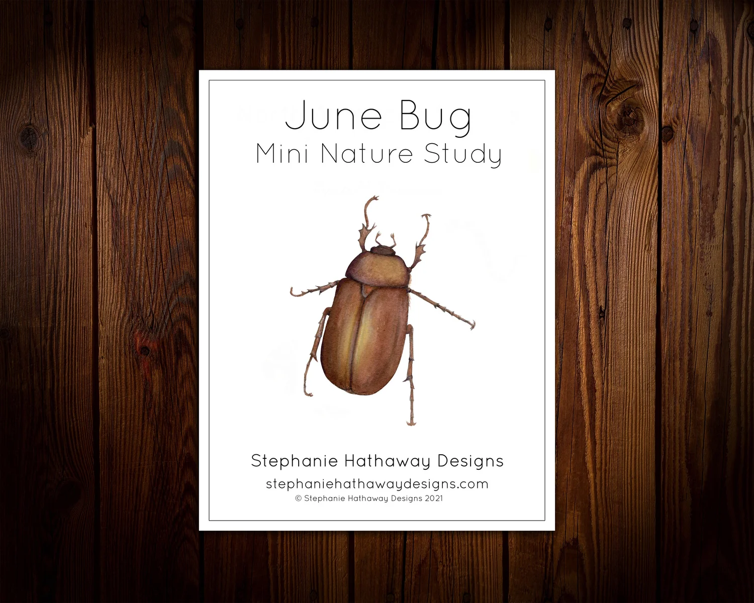 Illustrative image for keep june bugs away