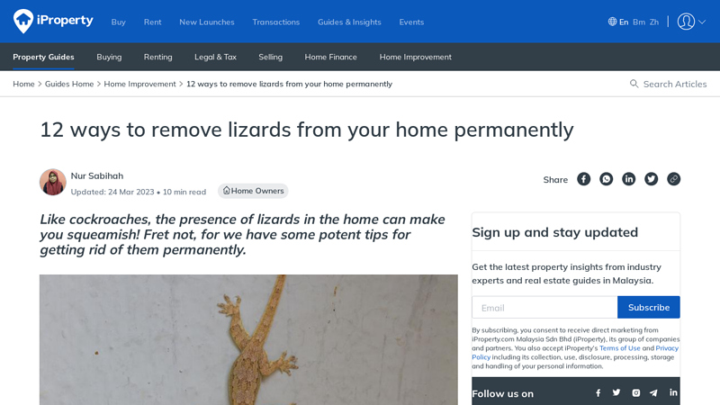 12 ways to remove lizards from your home permanently - iProperty