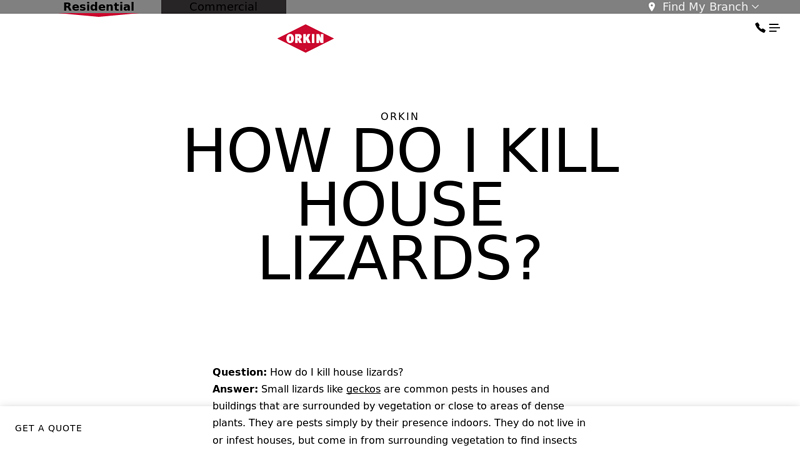 How Do I Kill House Lizards - Orkin
