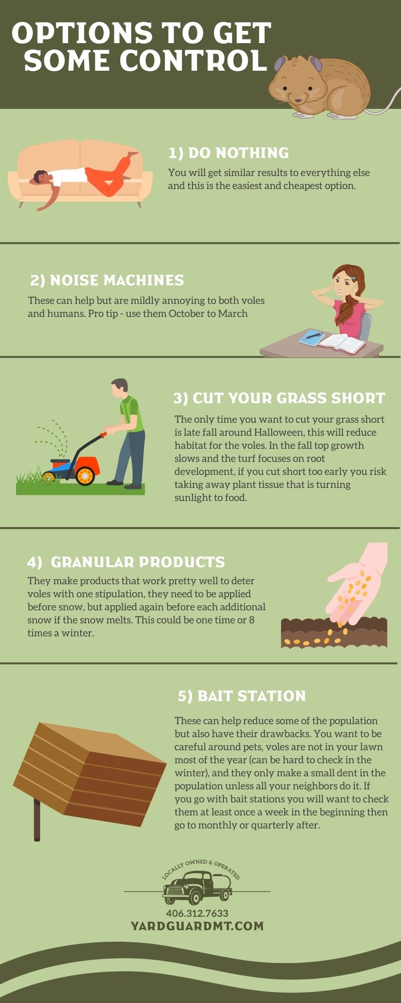 Illustrative image for kill voles in your yard