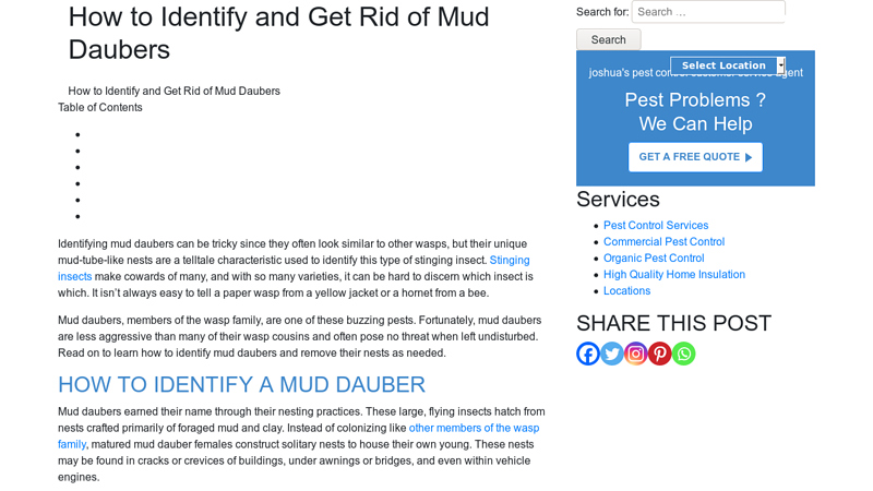 How to Identify and Get Rid of Mud Daubers - Joshuas Pest Control