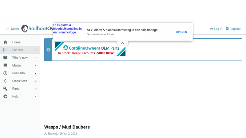 Wasps / Mud Daubers | Sailboat Owners Forums