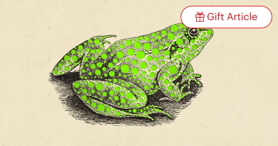 Illustrative image for kills frogs instantly