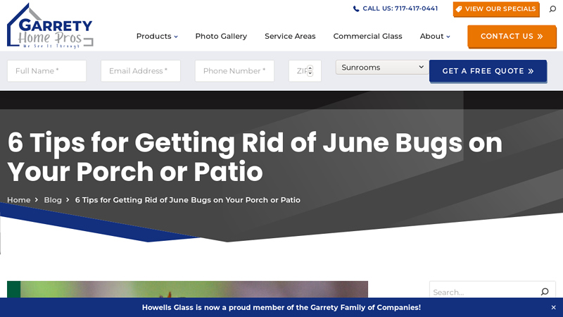 6 Tips for Getting Rid of June Bugs on Your Porch or Patio