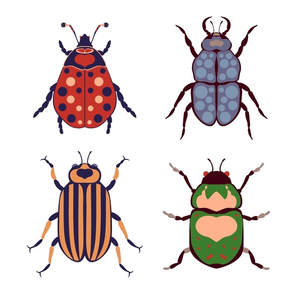 Illustrative image for kills june bugs instantly